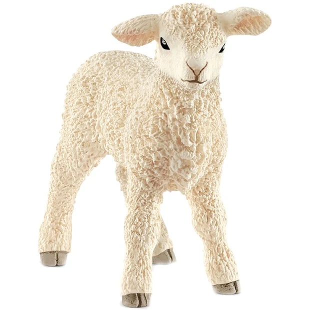 SC Lamb (Green Dot)