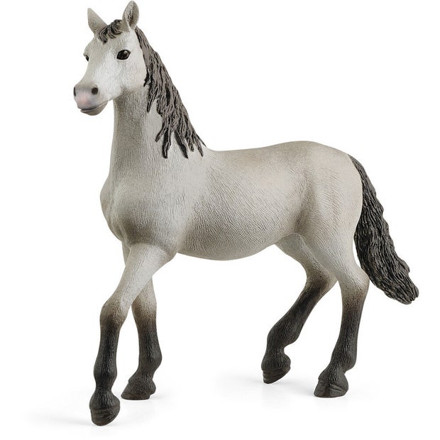 SC Pura Espanola Young Horse (Yellow Dot)
