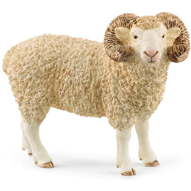 SC Ram (Red Dot)