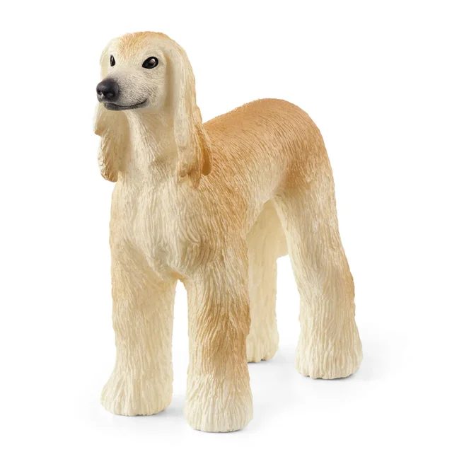 SC Greyhound (Red Dot)