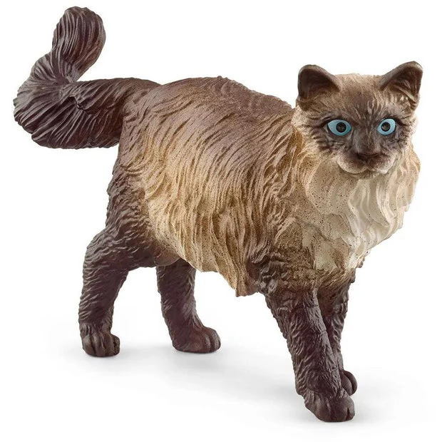 SC Ragdoll Cat (Green Dot)