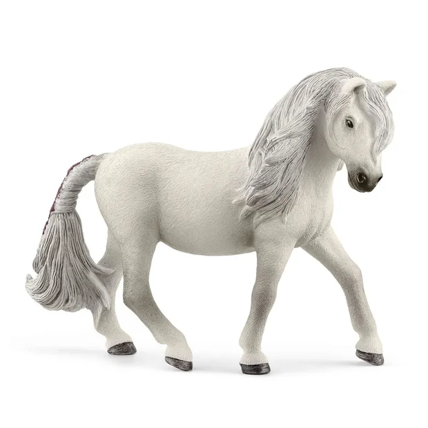 SC Iceland Pony Mare (Grey Dot)