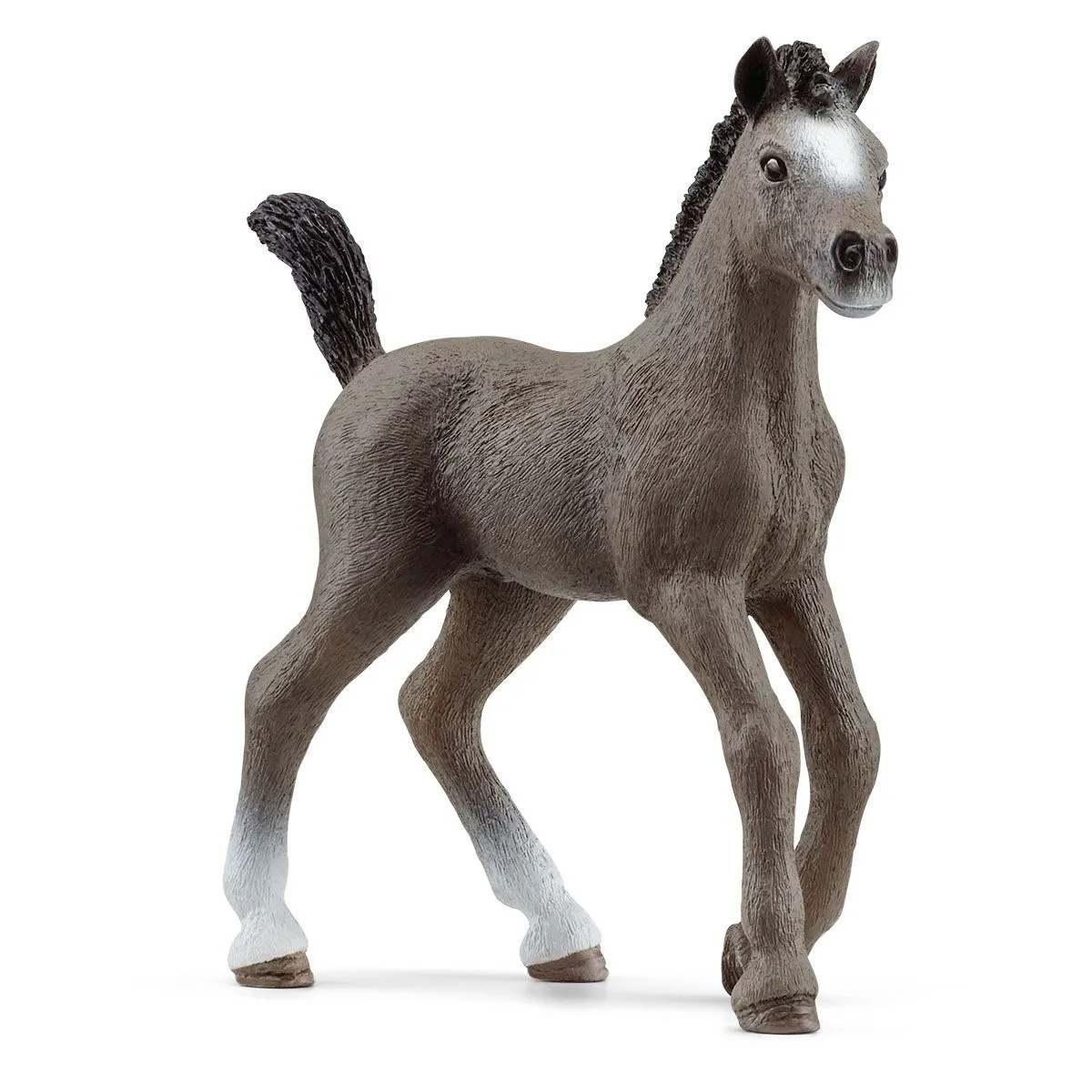 SC Selle Francais Foal (Red Dot)