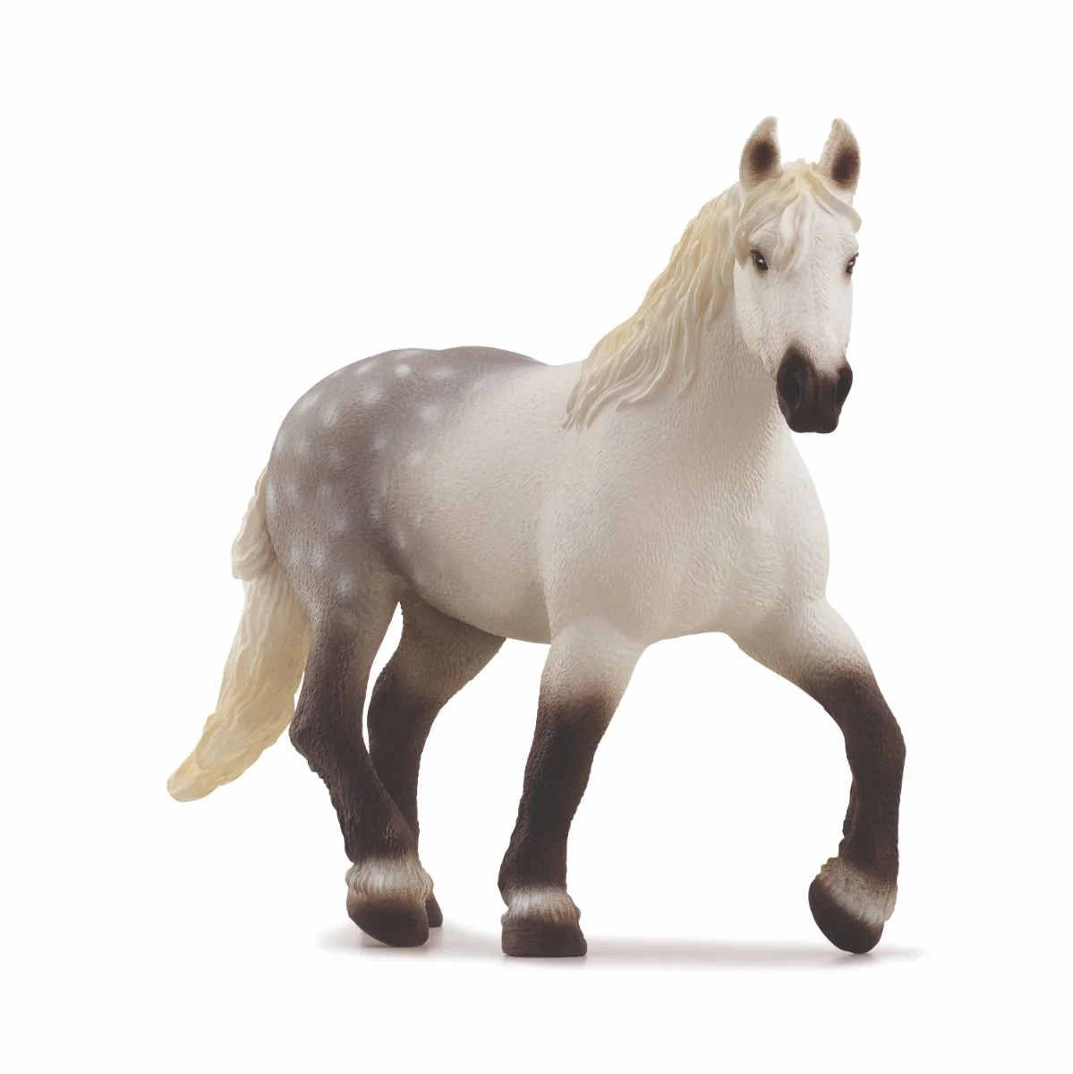 SC Percheron Mar (Brown Dot)
