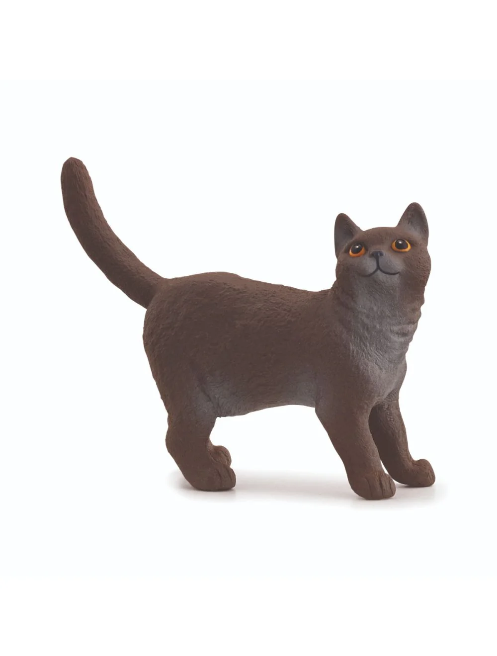 SC British Shorthair Cat (Green Dot)