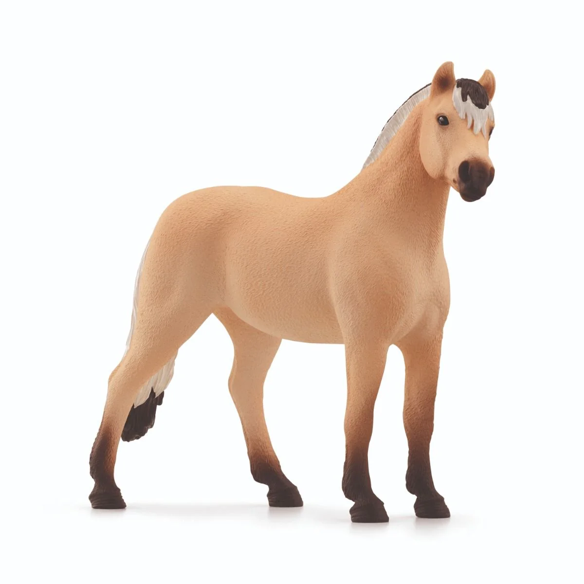 SC Norwegian Fjord Horse Gelding (Grey Dot)