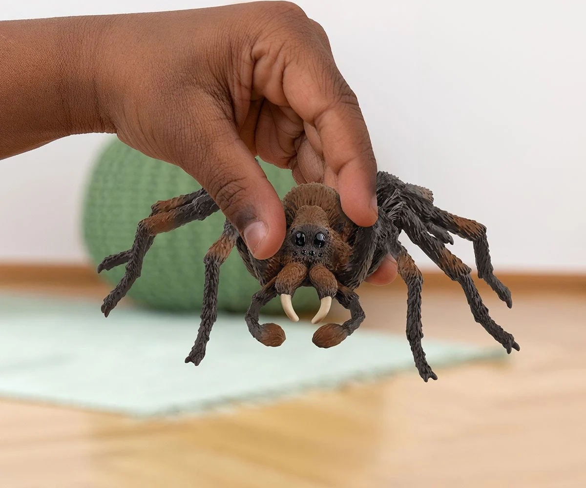 SC Wizarding World Aragog