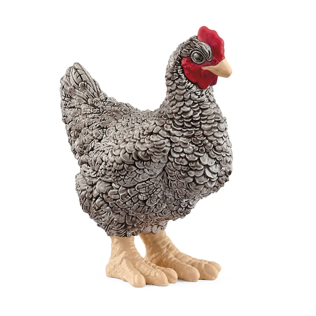 SC Plymouth Rock Chicken (Green Dot)