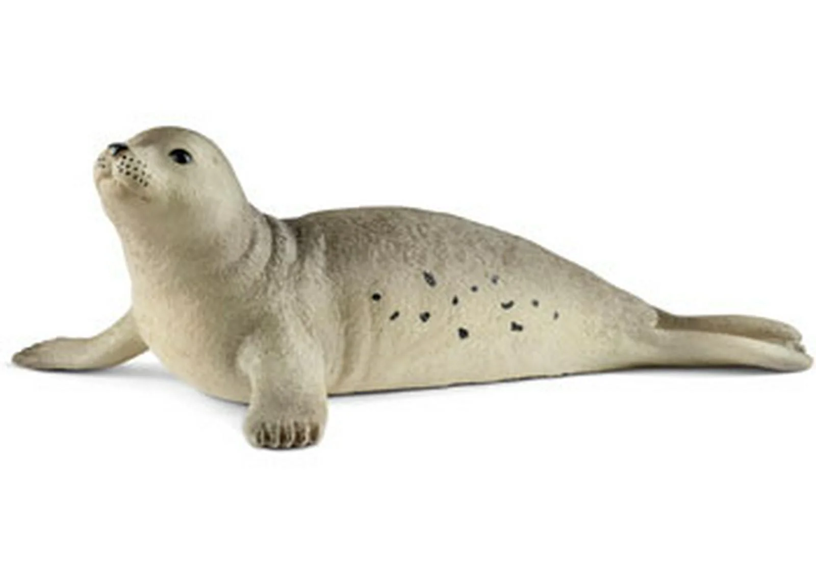 SC Seal (Red Dot)