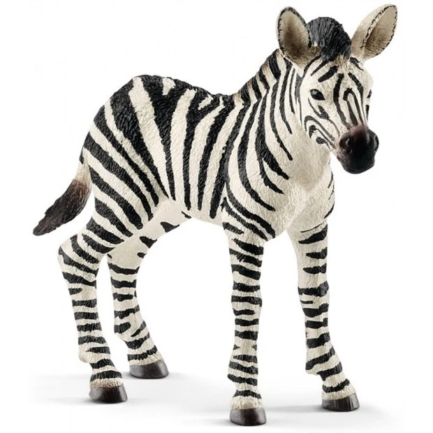 SC Zebra Foal (Red Dot)