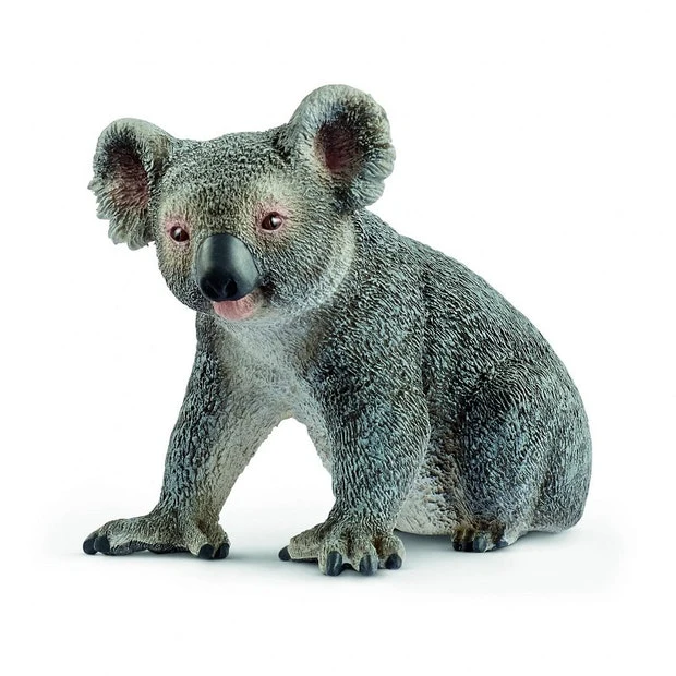 SC Koala Bear (Red Dot)