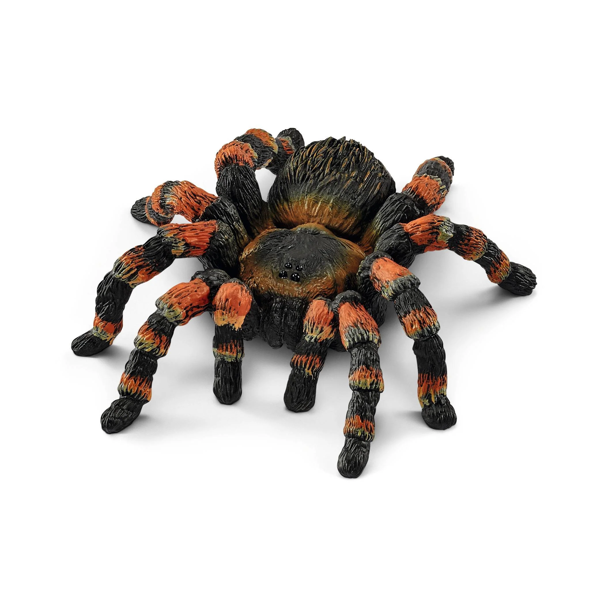SC Tarantula