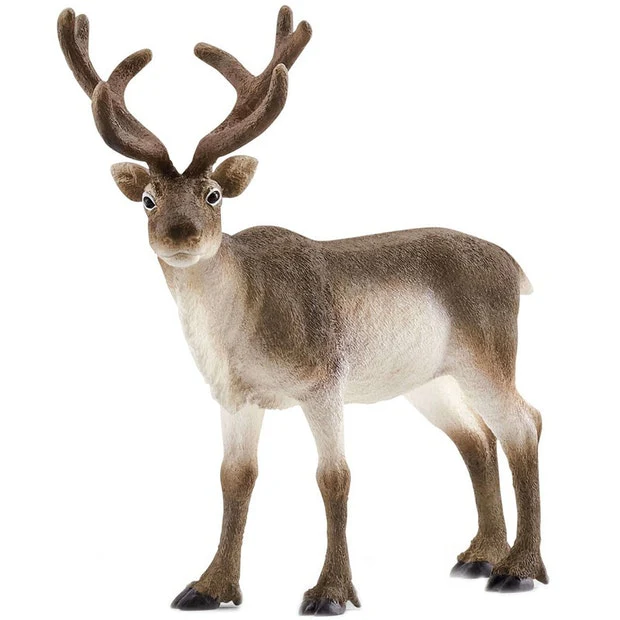SC Reindeer (Grey Dot)