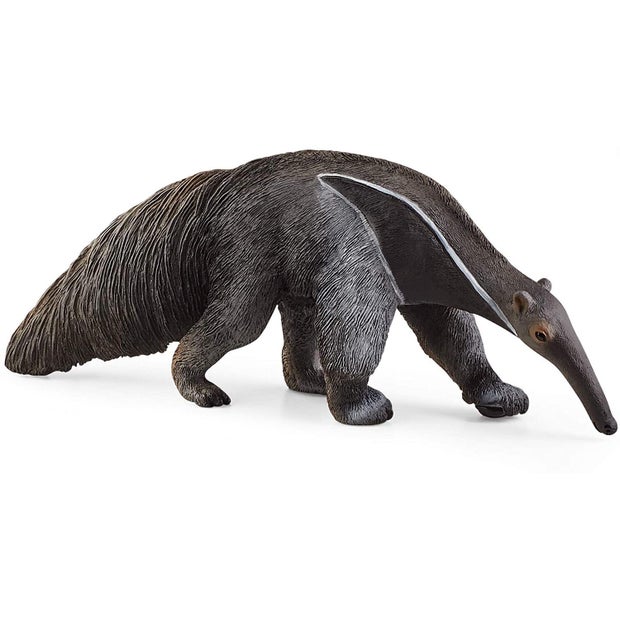 SC Anteater (Grey Dot)