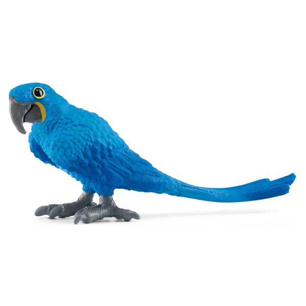 SC Hyazinth Macaw (Red Dot)