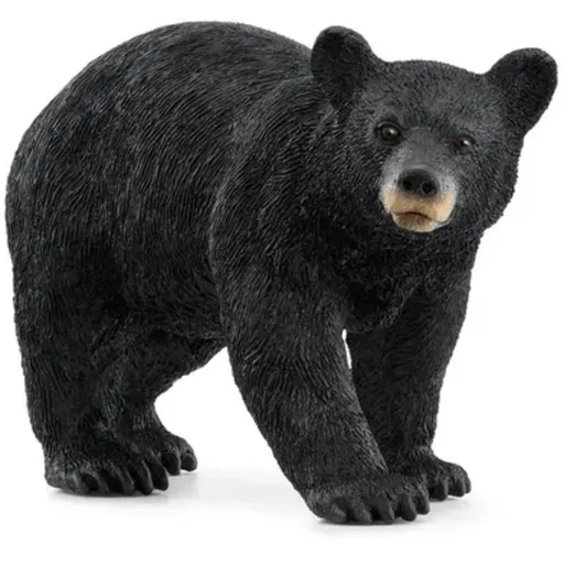 SC American Black Bear (Yellow Dot)