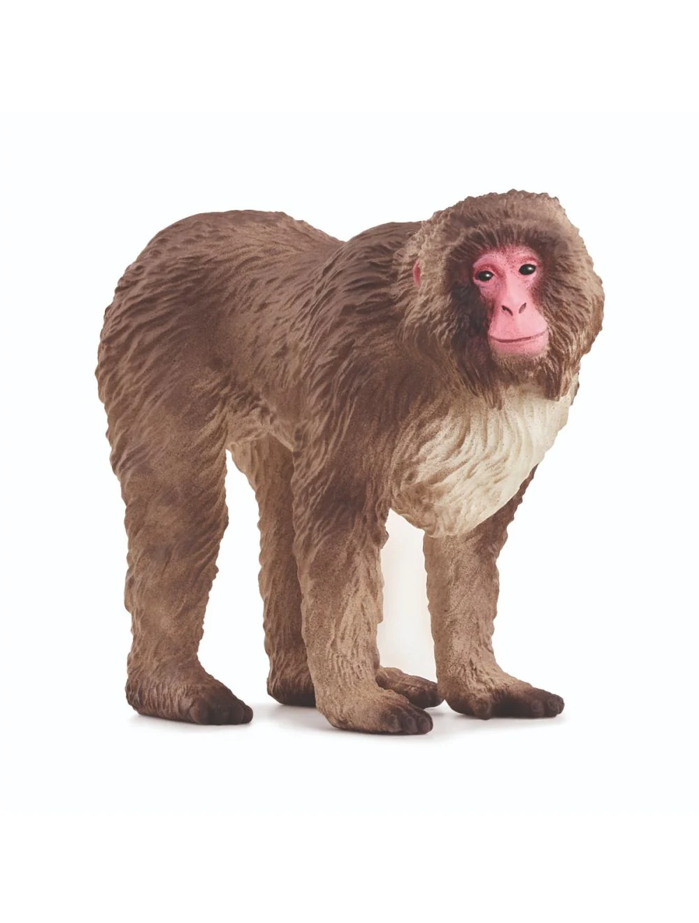 SC Japanese Macaque (Yellow Dot)