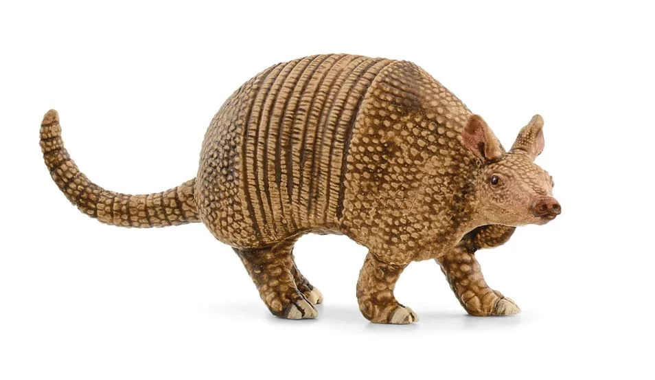SC Armadillo (Green Dot)
