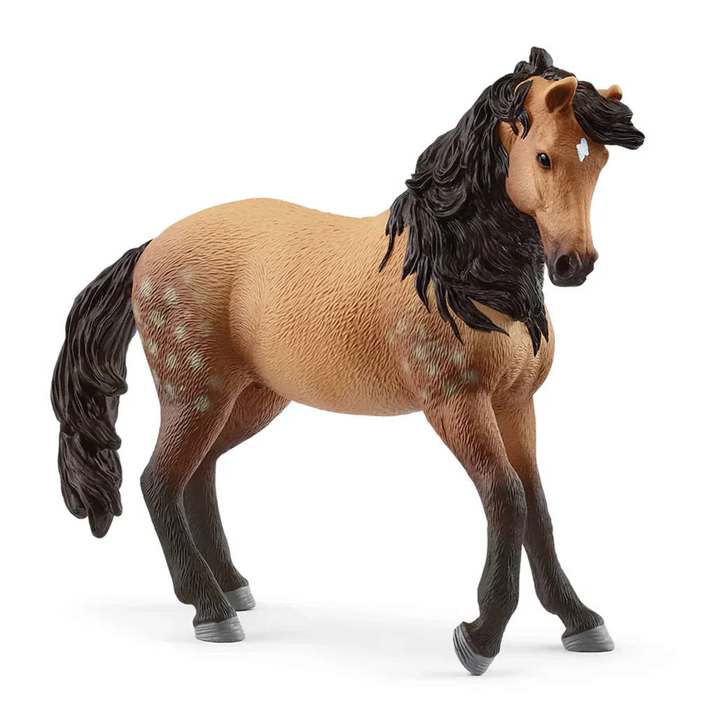SC Andalusian Mare 2025 (Grey Dot)
