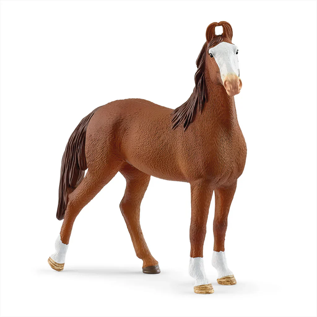 SC Marwari Mare (Grey Dot)
