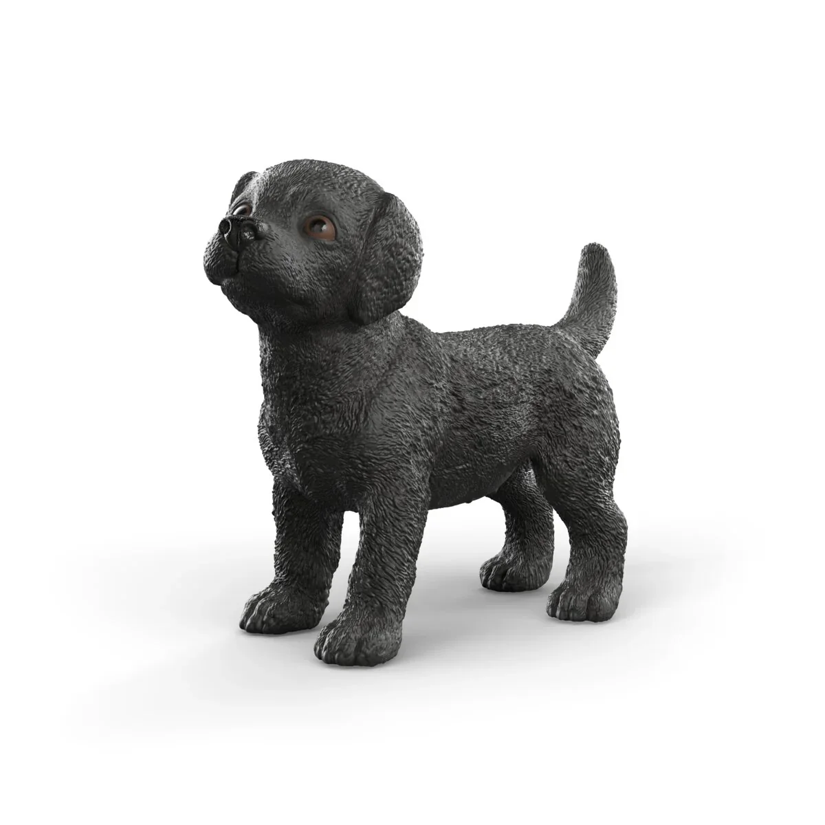 SC Black Labrador Retriever Puppy (Green)