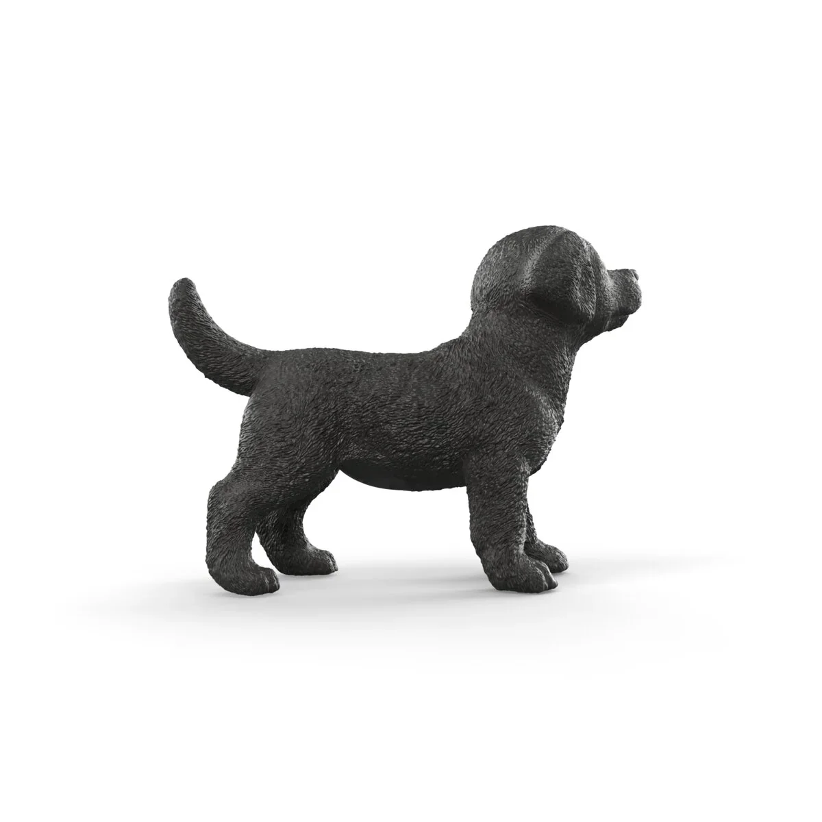 SC Black Labrador Retriever Puppy (Green) - Image 2