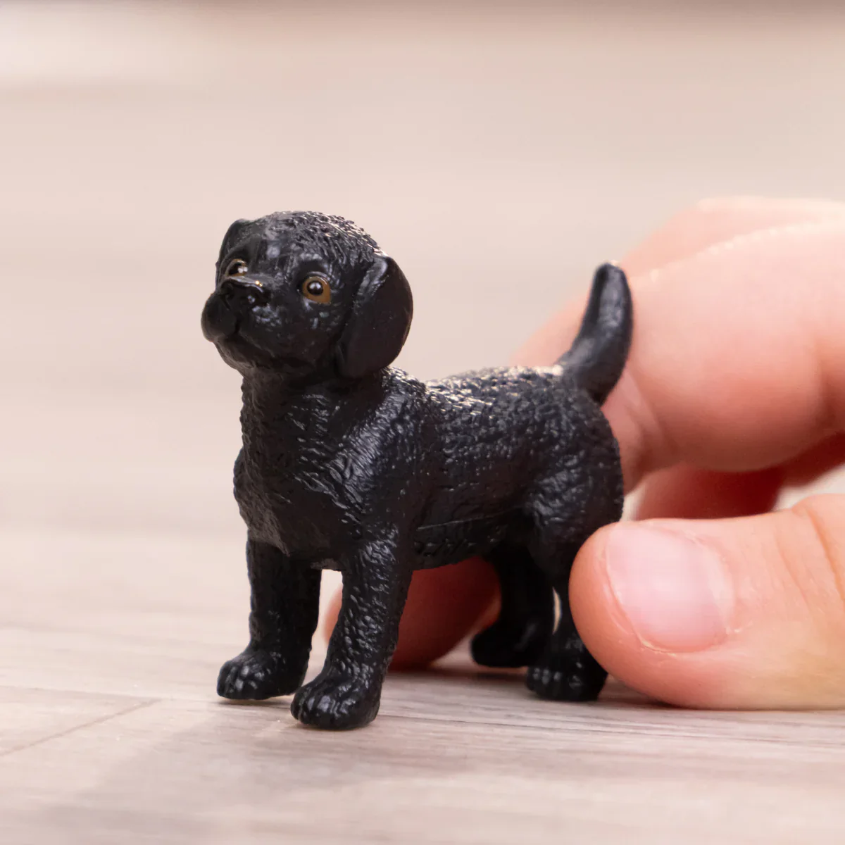 SC Black Labrador Retriever Puppy (Green) - Image 3