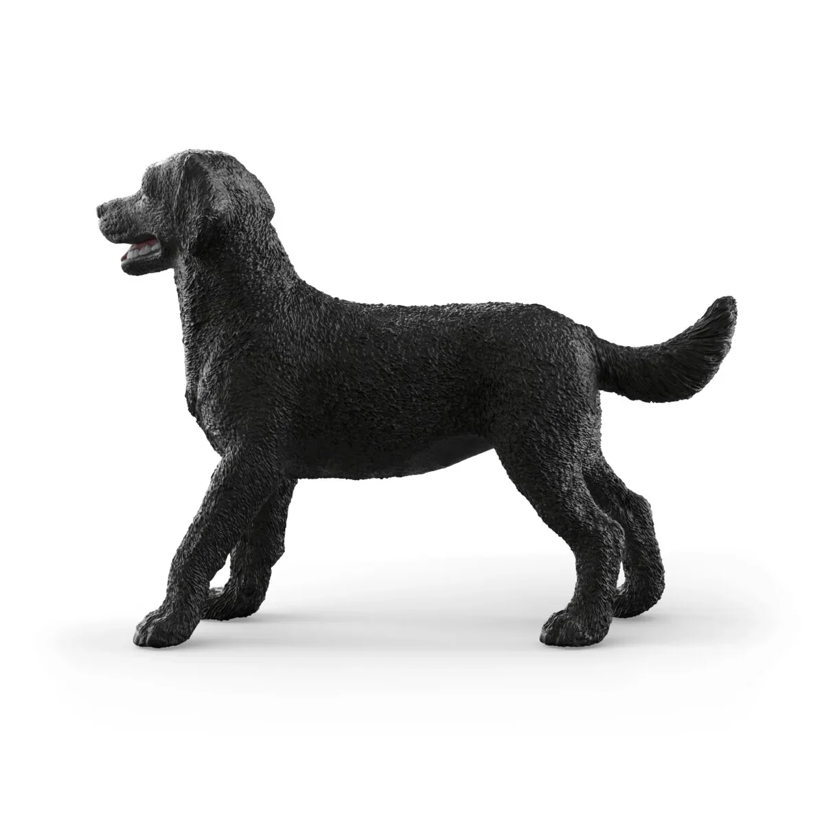 SC Black Labrador Retriever Female (Red) - Image 2