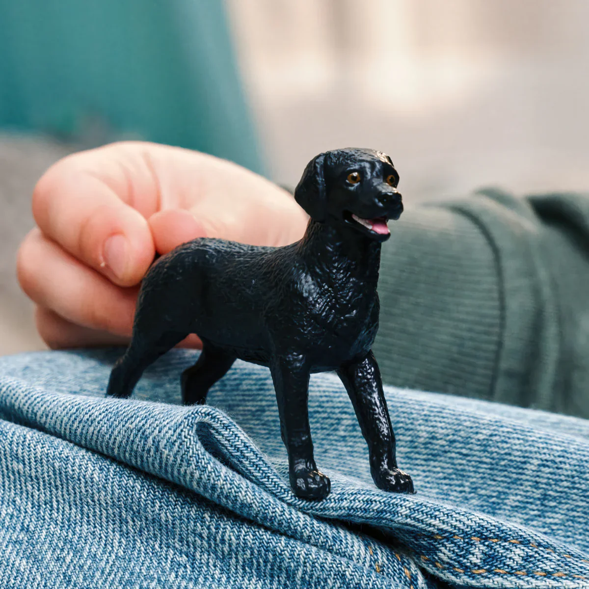 SC Black Labrador Retriever Female (Red) - Image 3