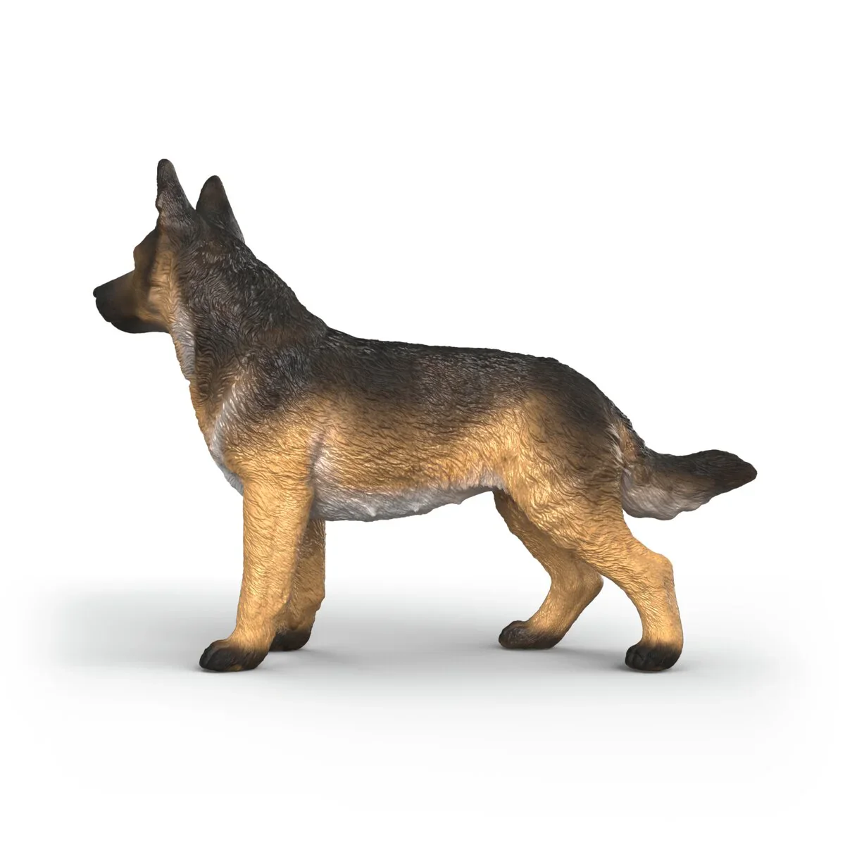 SC German Shepherd Female (Red Dot) - Image 2