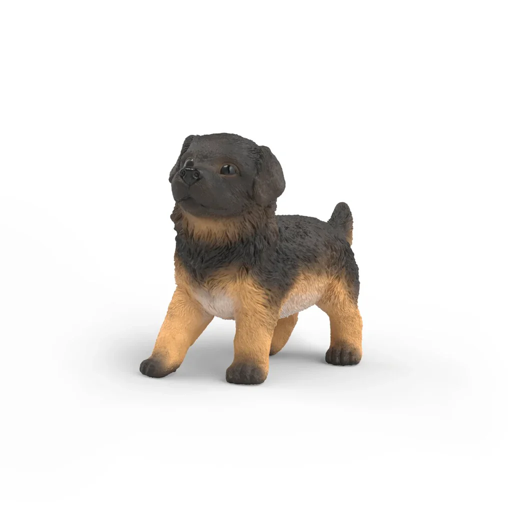 SC German Shepherd Puppy (Green Dot)