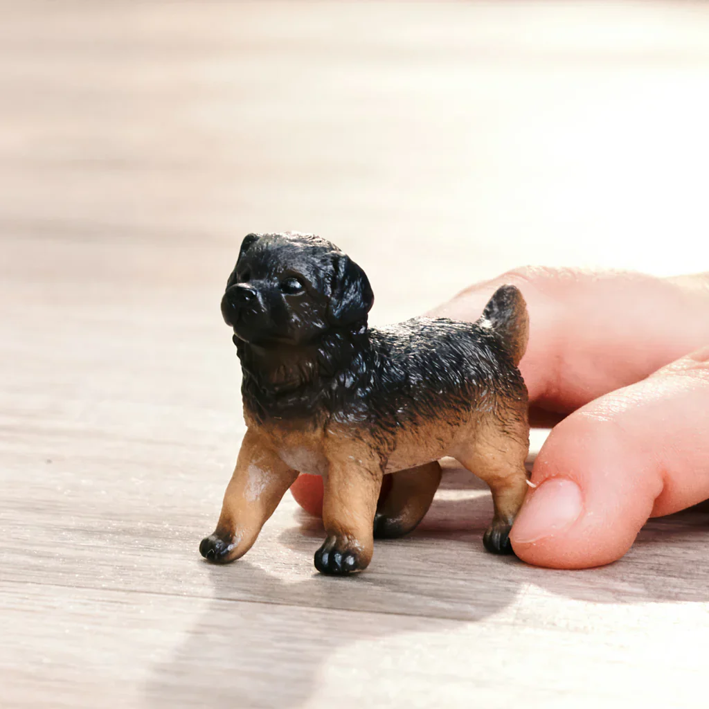 SC German Shepherd Puppy (Green Dot) - Image 3