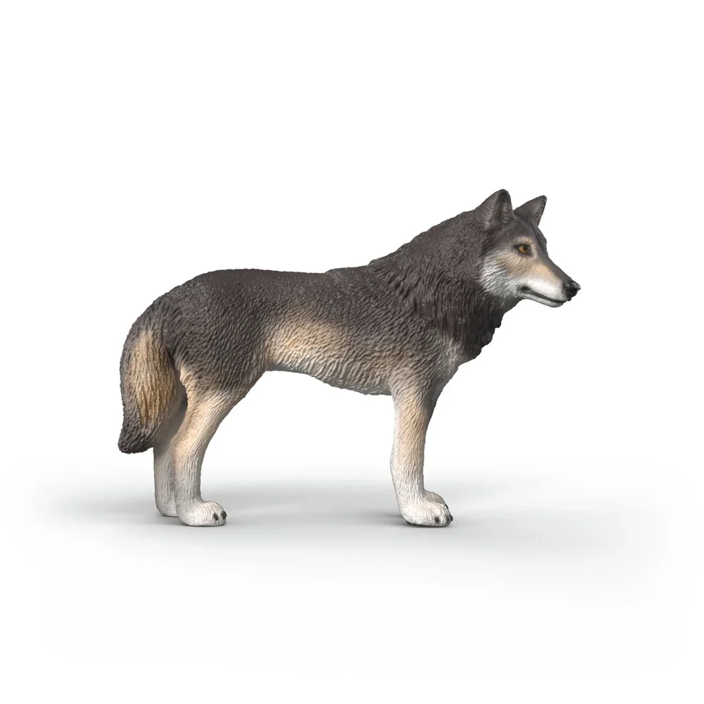 SC American Wolf (Yellow Dot) - Image 3