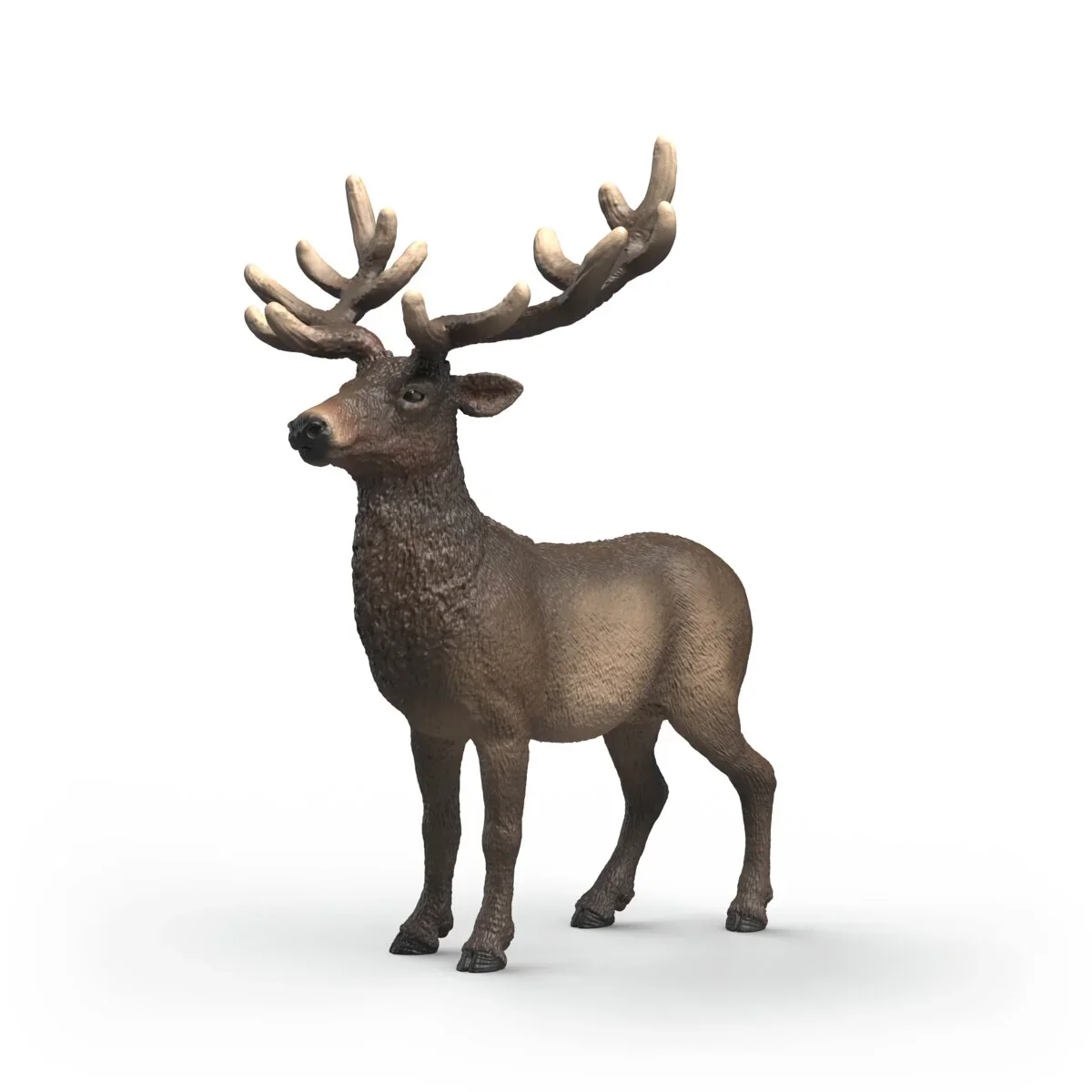 SC Elk (Grey)