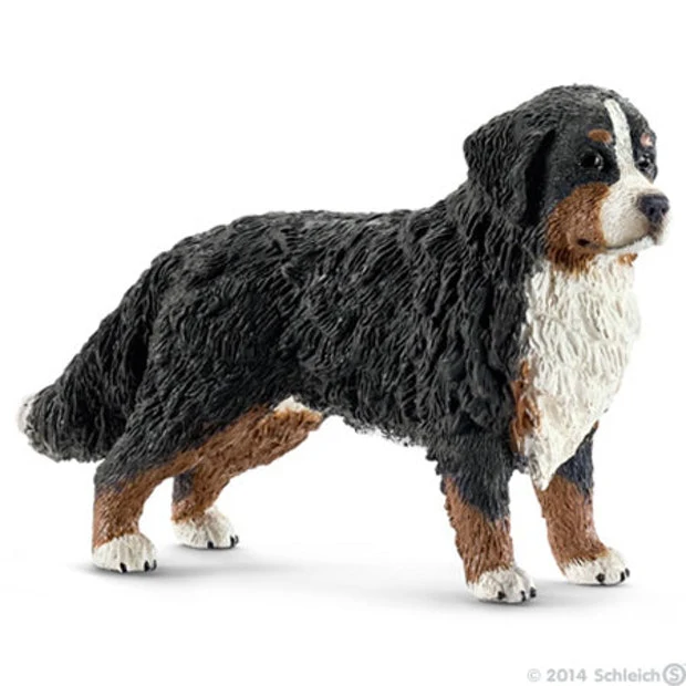 SC Bernese Mountain Dog Female (Red Dot)