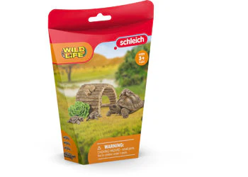 SC Tortoise Home