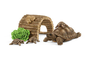 SC Tortoise Home - Image 2