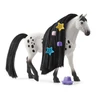 SC Beauty Horse Knabstrupper Stallion - Image 2