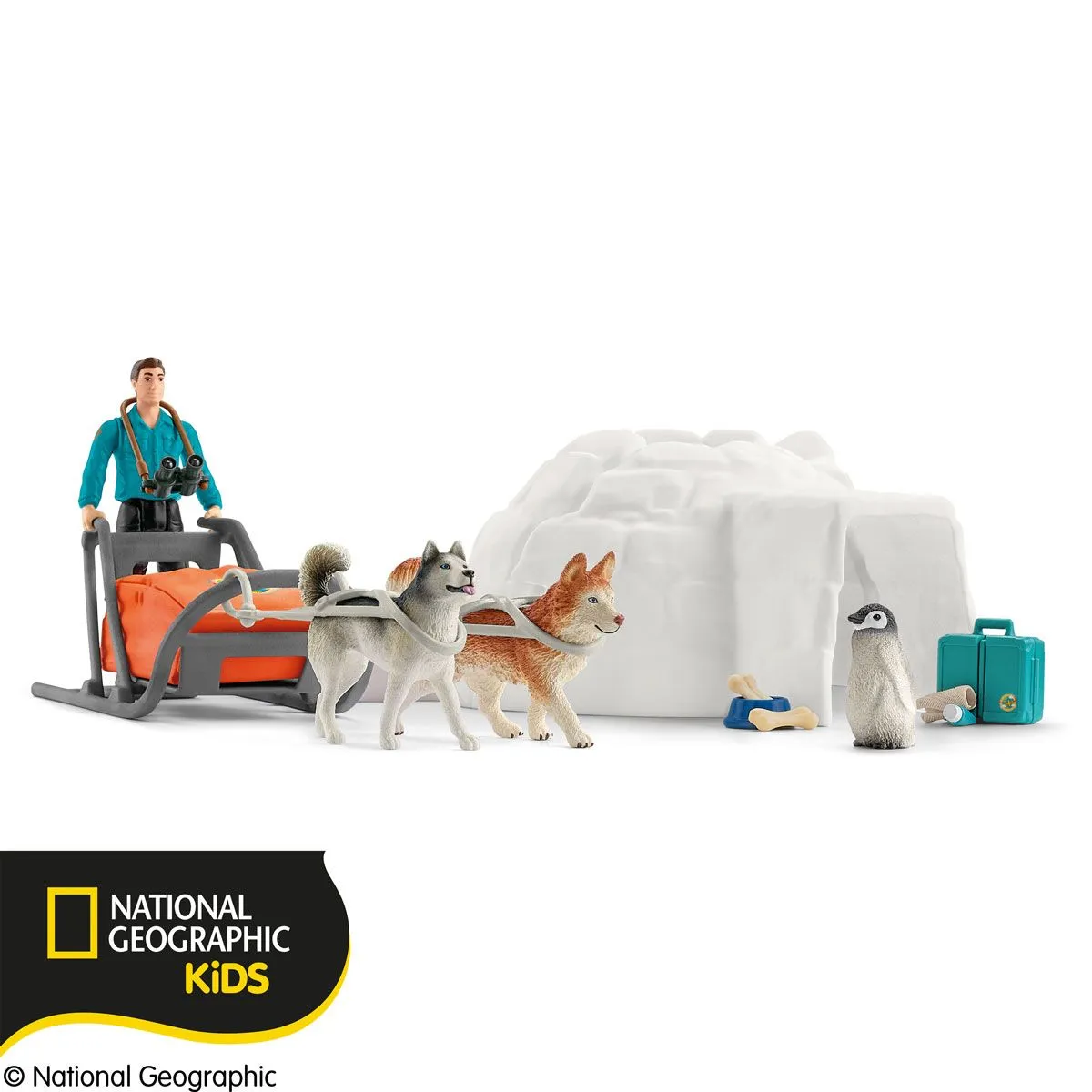 SC Antarctic Expedition