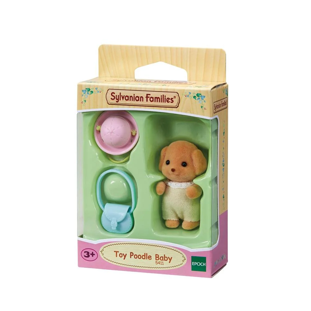 SF Toy Poodle Baby