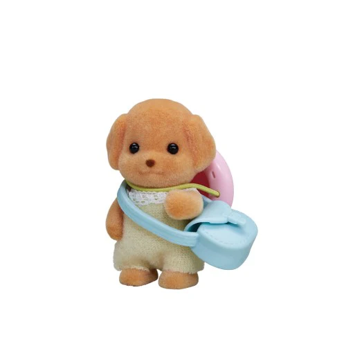 SF Toy Poodle Baby - Image 2
