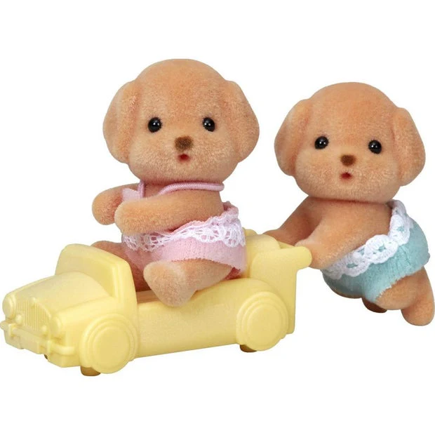 SF Toy Poodle Twins
