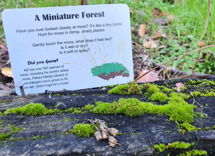 Nature in Surprising Places - Image 2