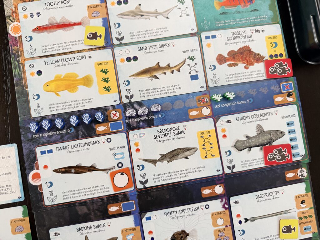 Finspan: Sharks & Reefs - Image 2