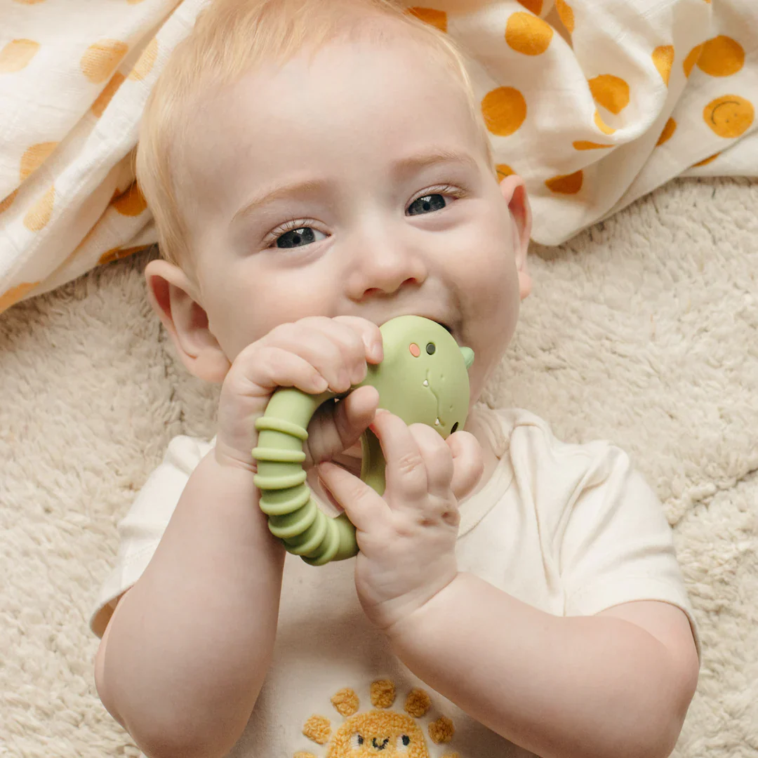 TT Silicone Teether Dino - Image 2