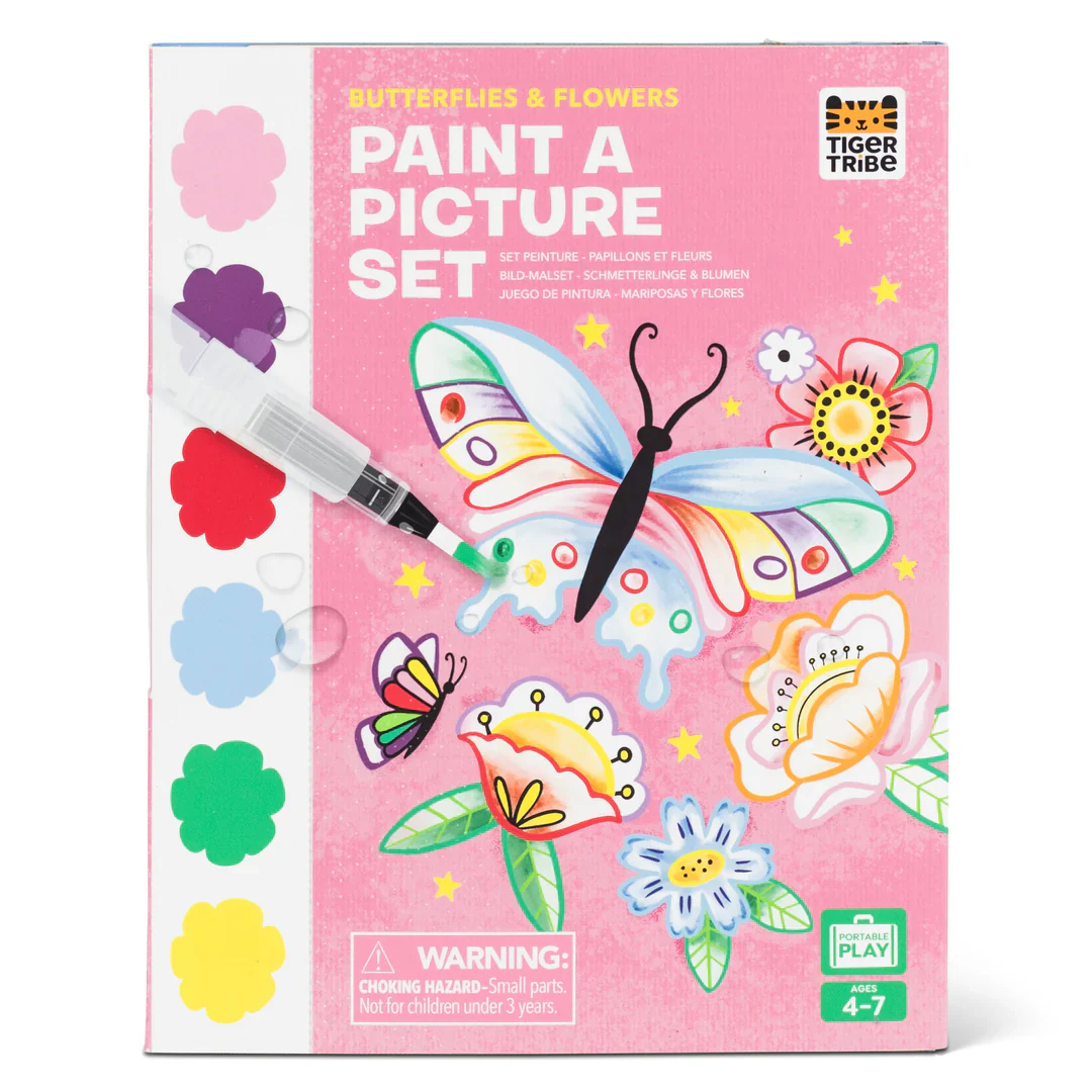 TT Paint a Picture Set - Butterflies