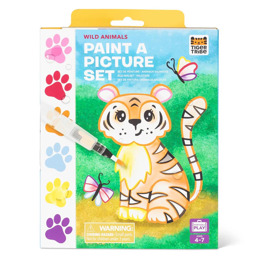 TT Paint a Picture Set - Wild Animals